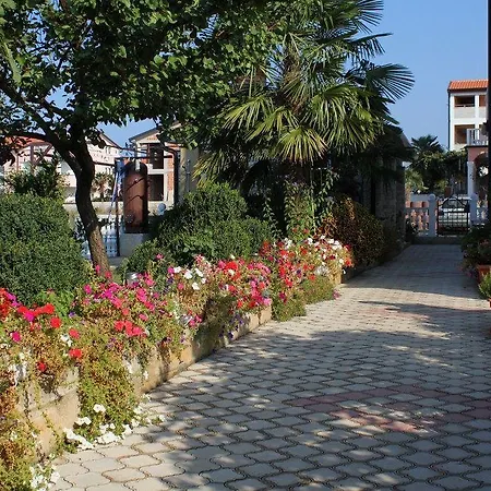 Studio Novigrad 7037a Apartmán Brtonigla
